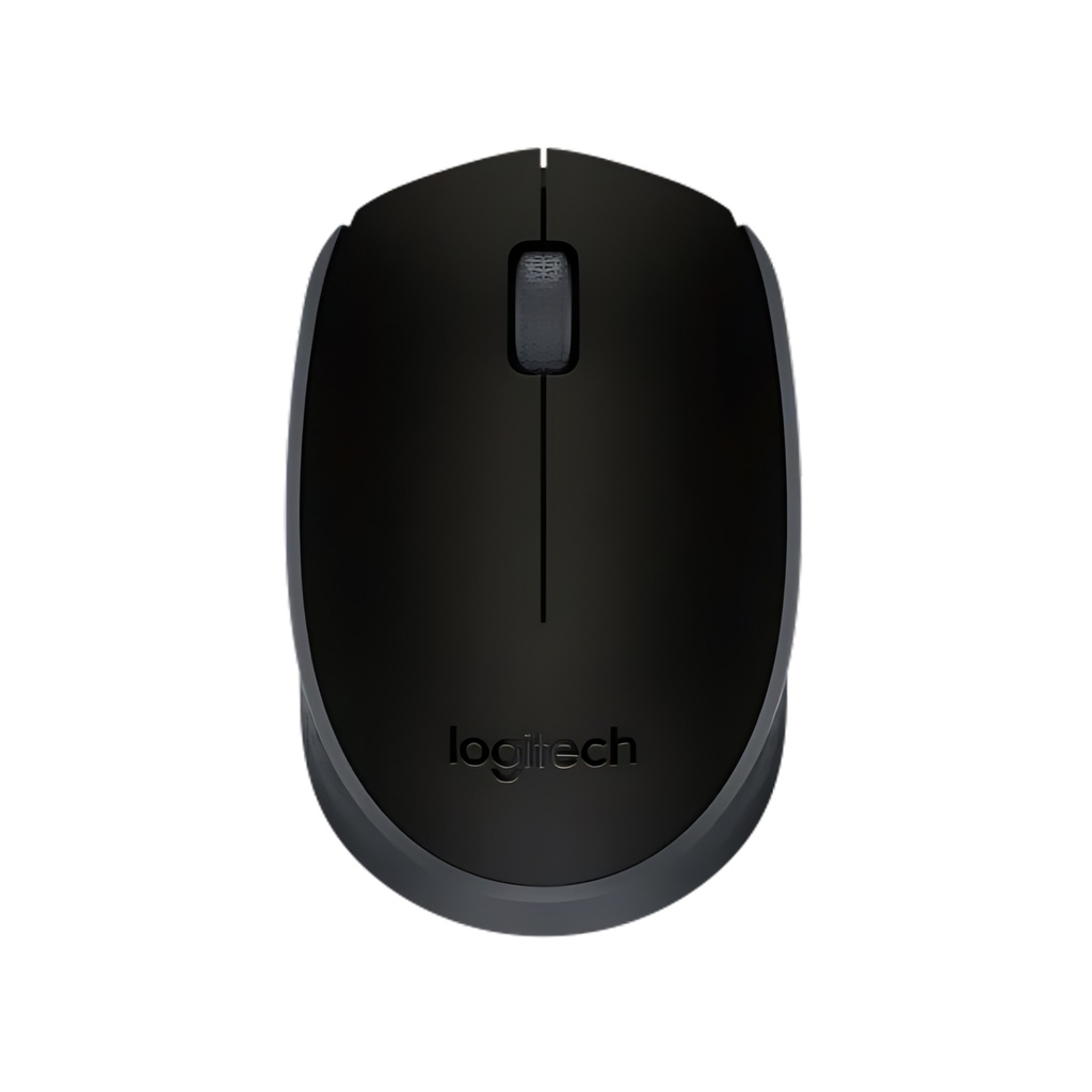 Logitech WIRELESS MOUSE M171