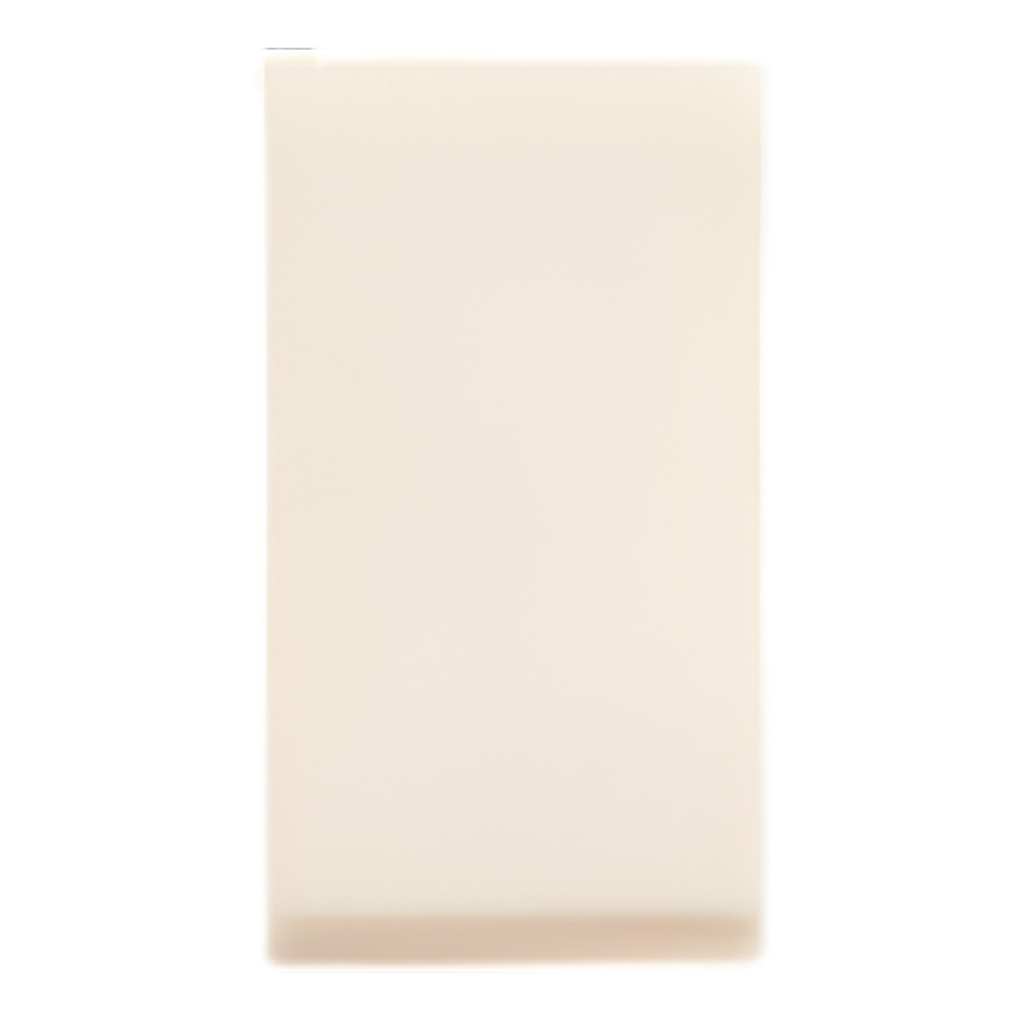 One Way Switch 16A 250V