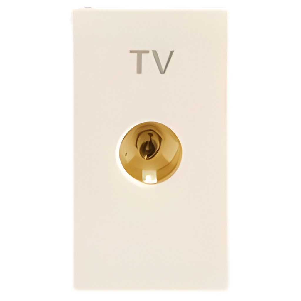 TV Coaxial outlet